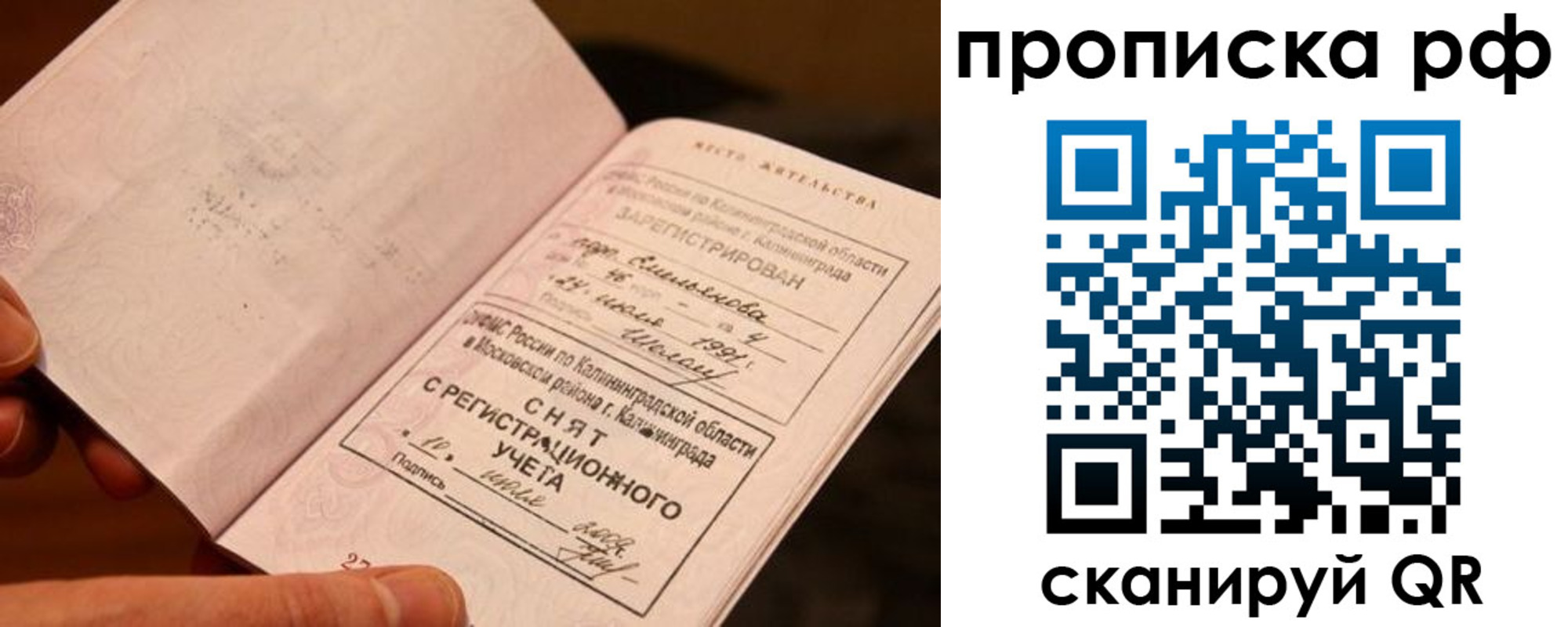 прописка гарантия в Жирновске